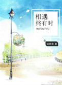 《相遇终有时》全本TXT下载-作者：清枫语