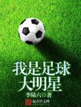 《我是足球大明星》全本TXT下载-作者：李陆六