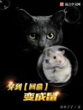 《穿到回猫变成鼠》全本TXT下载-作者：小小丁子