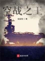 《空战之王》全本小说下载