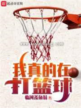 《我真的在打篮球》TXT下载-作者：临河羡鱼翁