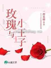 《玫瑰与小王子》全本TXT下载-作者：押花师