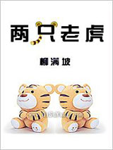 《两只老虎》全本TXT下载-作者：柳满坡