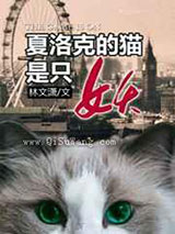 《夏洛克的猫》全本TXT下载-作者：林文潇