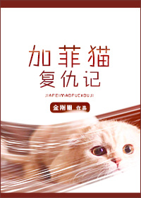 《加菲猫复仇记》TXT下载-作者：金刚圈